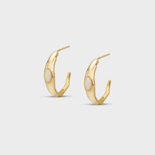 Exquisite Simple Earrings