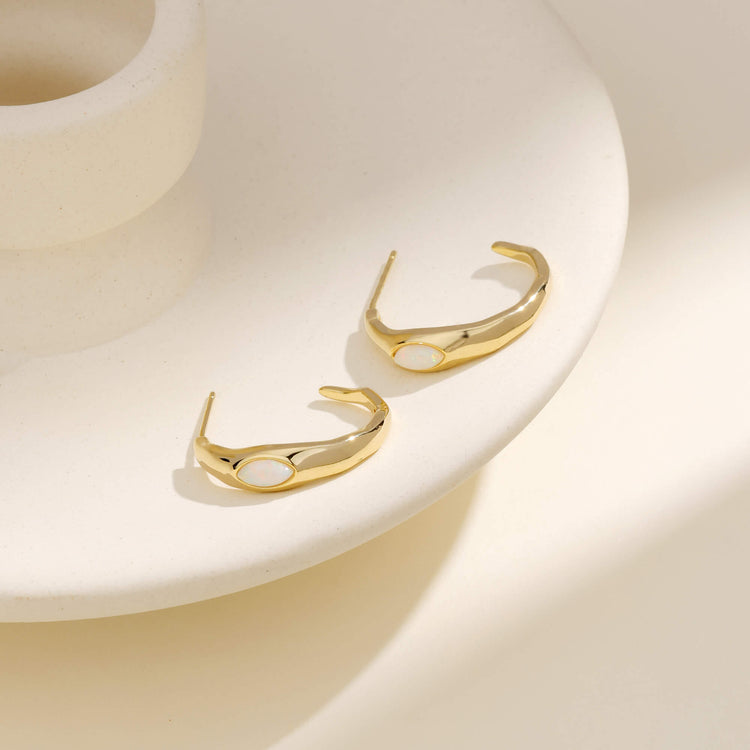 Exquisite Simple Earrings